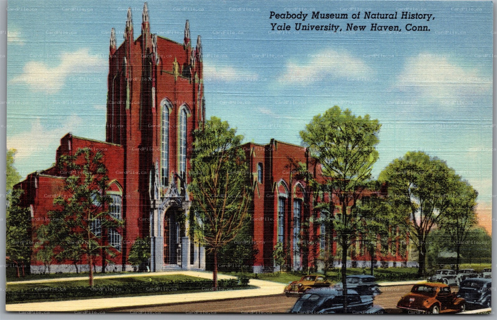 Postcard New Haven Connecticut Peabody Museum Nathural History Yale University