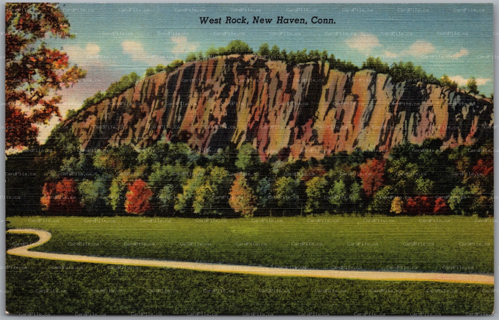 Postcard New Haven Connecticut West Rock Scenic View