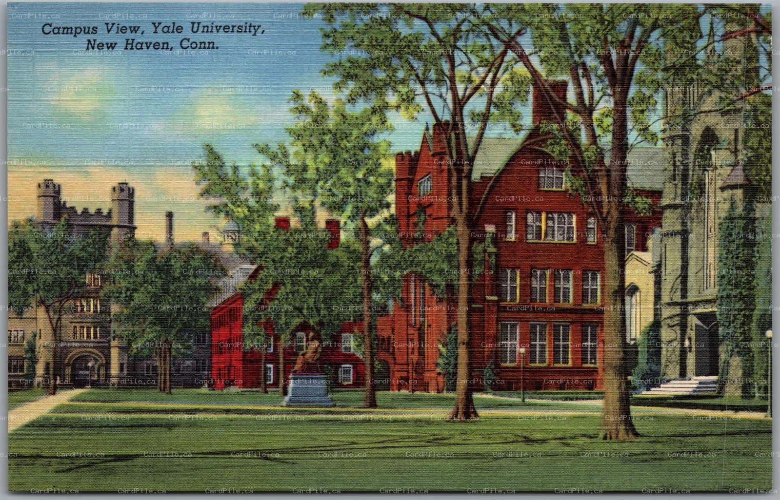 Postcard New Haven Connecticut Campus View Yale University