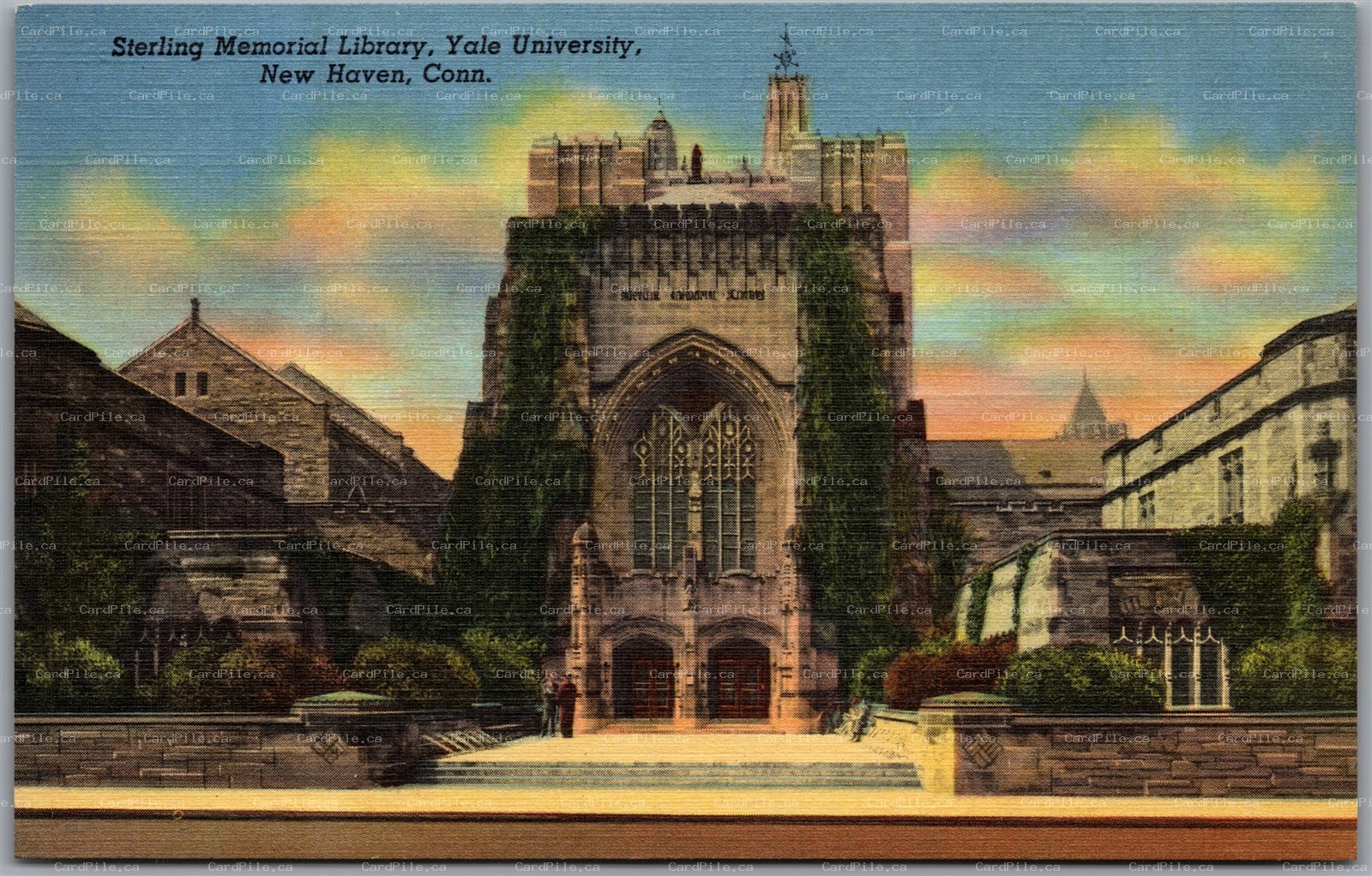 Postcard New Haven Connecticut Sterling Memorial Library Yale University