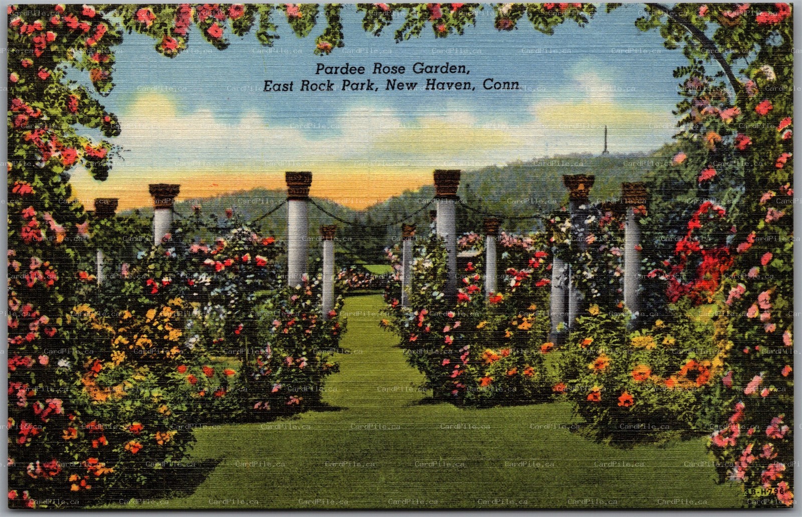 Postcard New Haven Connecticut East Rock Park Pardee Rose Garden