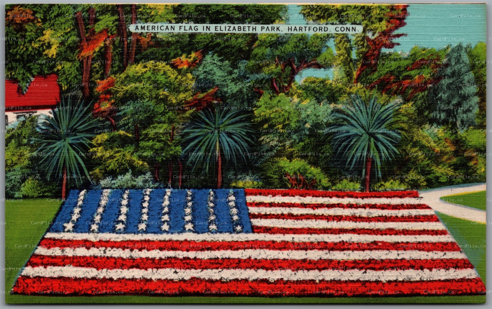 Postcard Hartford Connecticut Elizabeth Park American Flag Patriotic