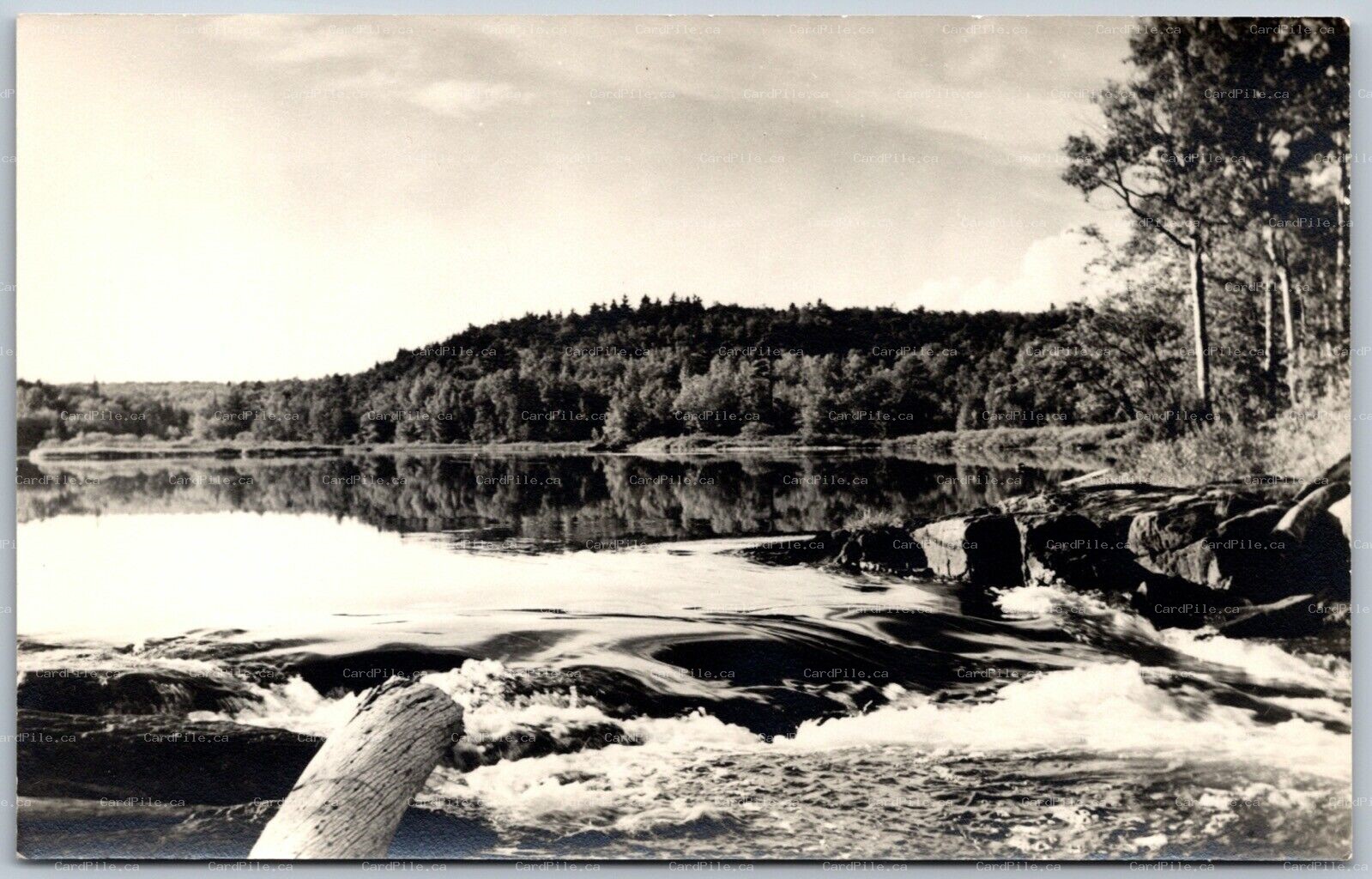 RPPC c1940s Clarendon Station Ontario Wilsons Lodge Crotch Lake Scenic View A
