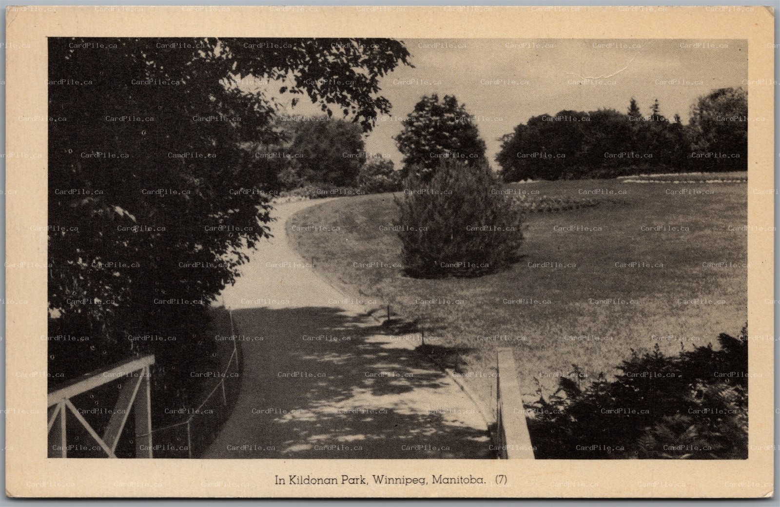 Postcard Winnipeg Manitoba In Kildonan Park