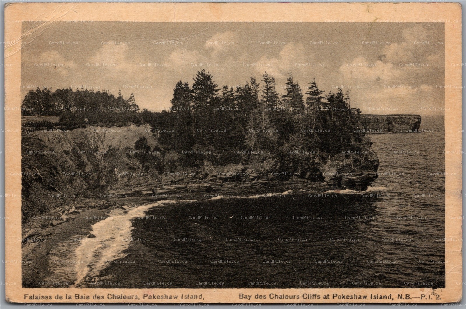 Postcard Pokeshaw Island New Brunswick c1949 Bay des Chaleurs