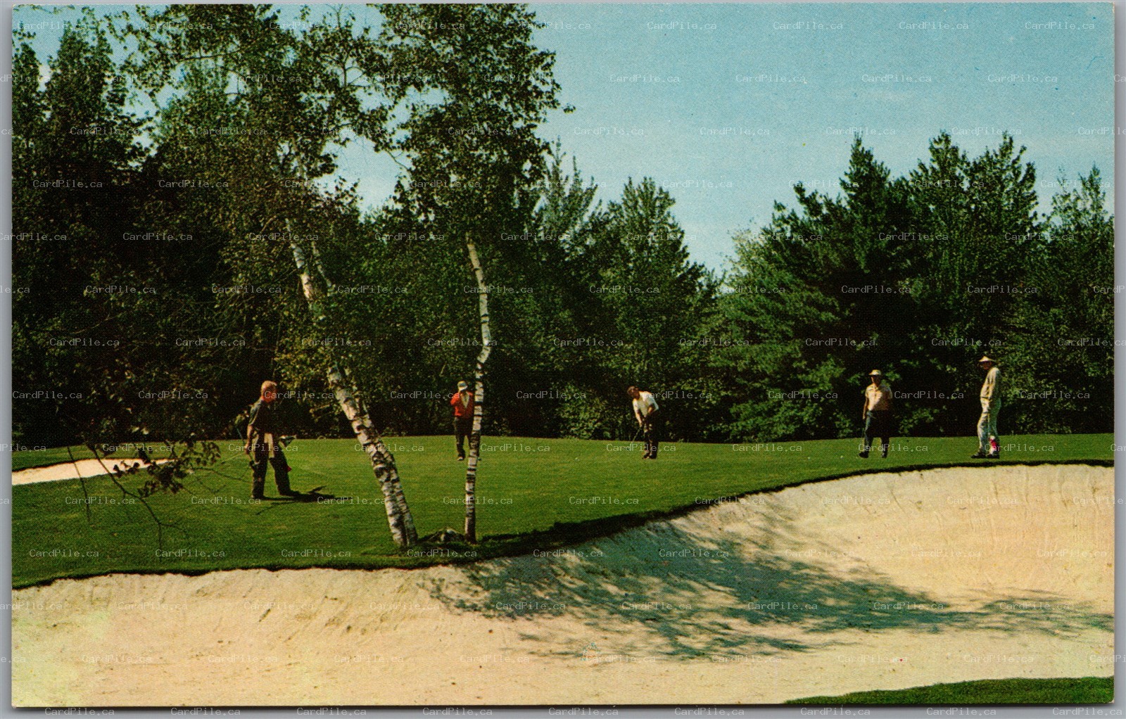 Postcard Kiamesha Lake New York Concord Hotel Golfing Bunker Putting Sullivan Co