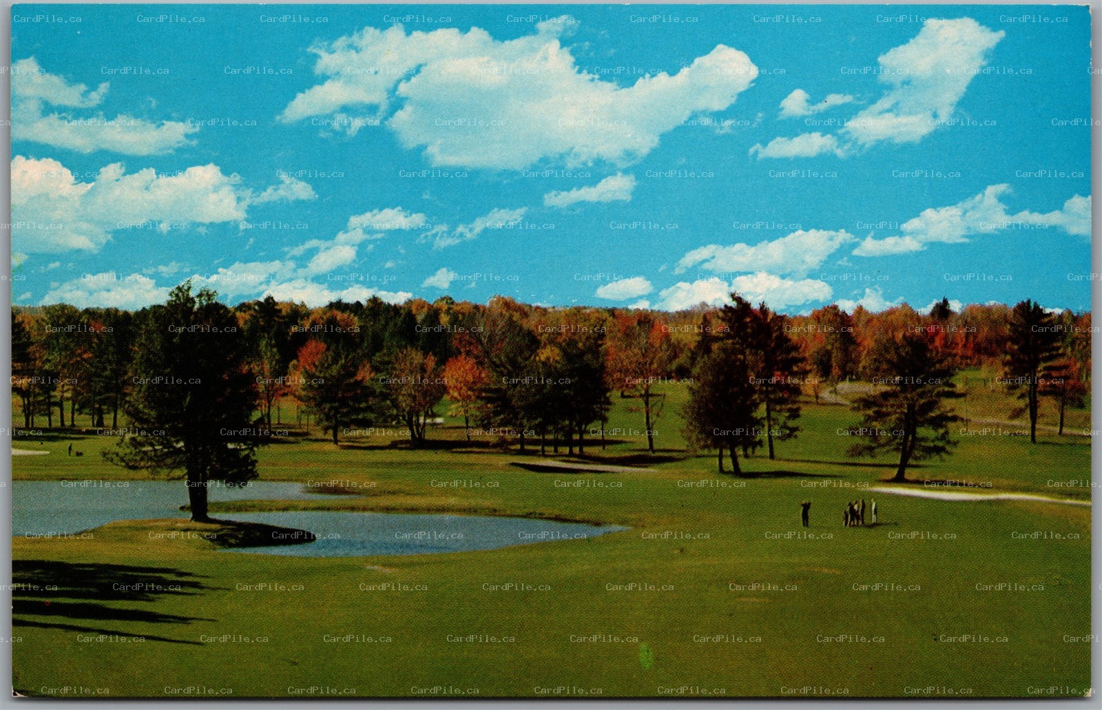 Postcard Kiamesha Lake New York Concord Hotel Golf Course View Sullivan Co.