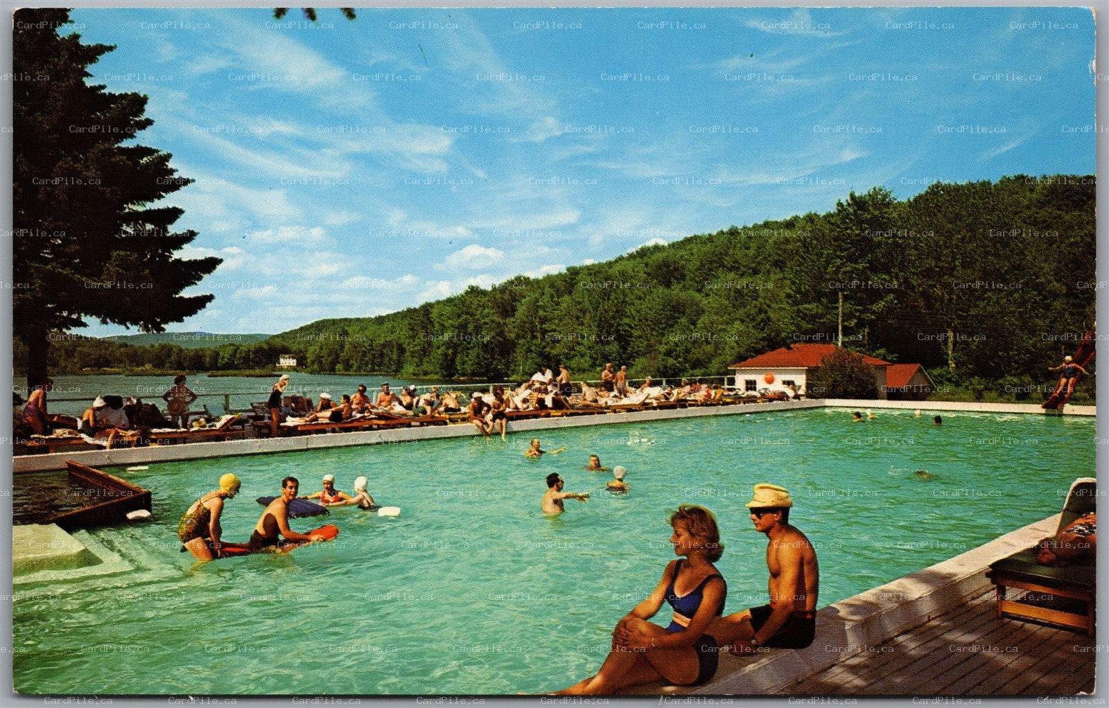 Postcard Livingston Manor New York c1980 Edgewood Inn Country Estate Scenic View