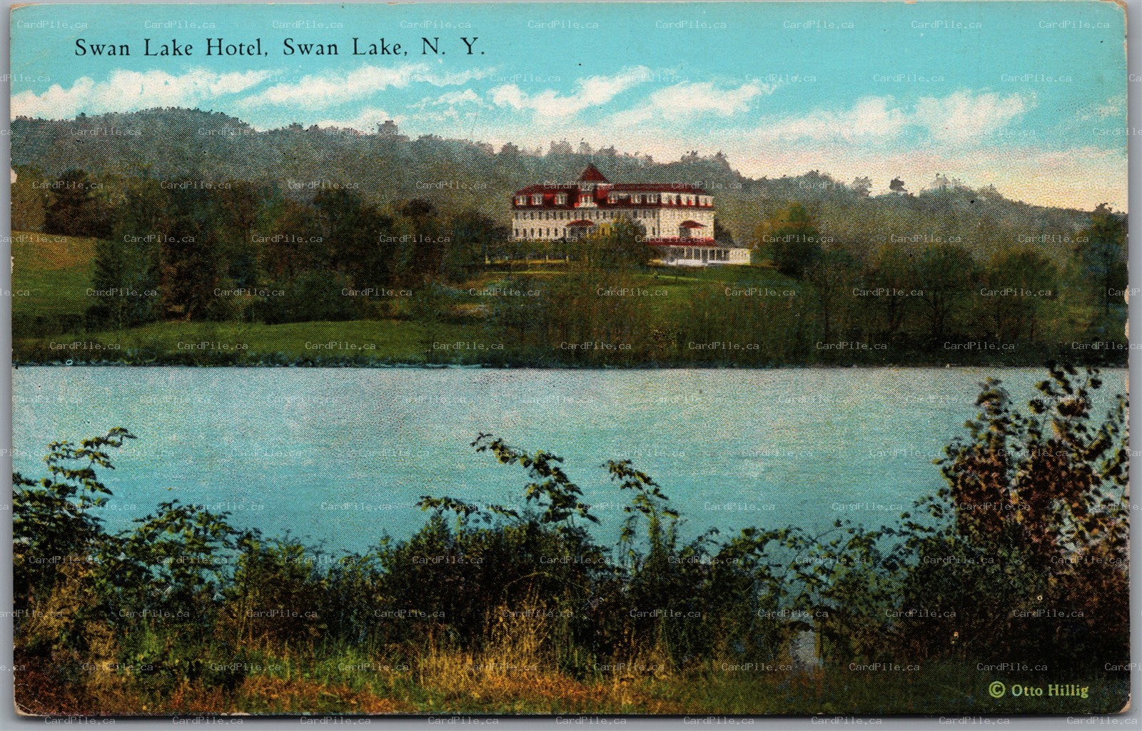 Postcard Swan Lake New York c1910s Hotel Scenic Dual View by Otto Hillig