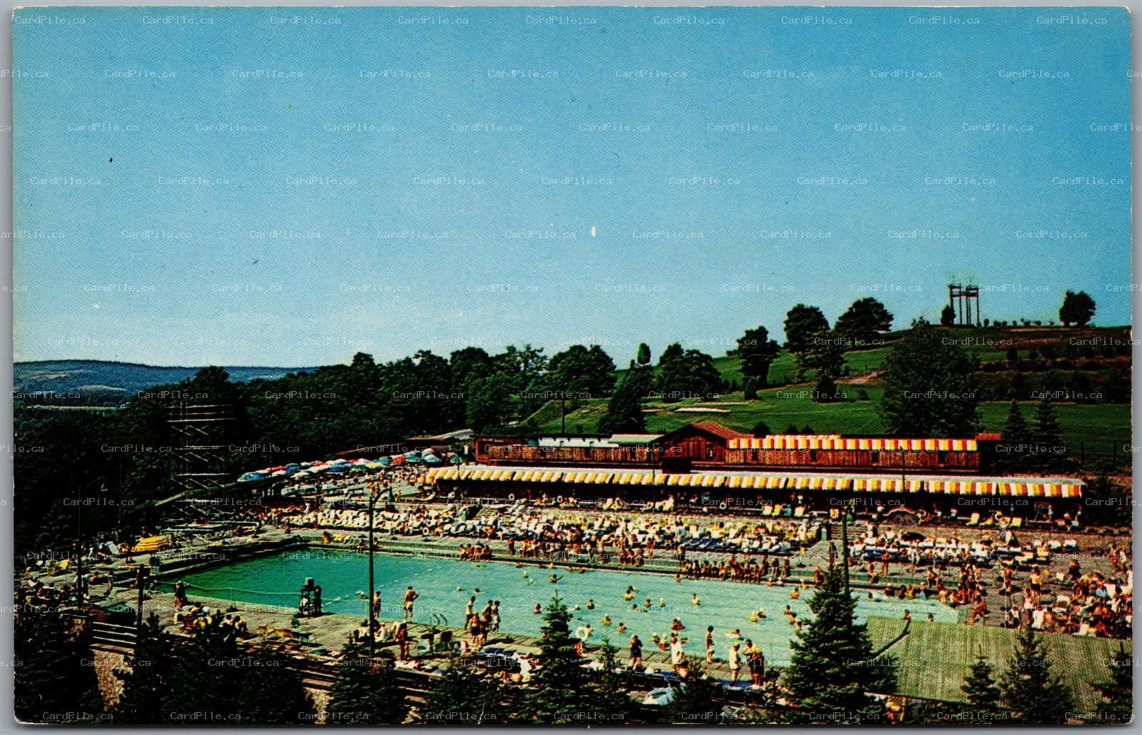 Postcard Liberty New York Grossinger's Catskill Resort Hotel Pool and Cabanas