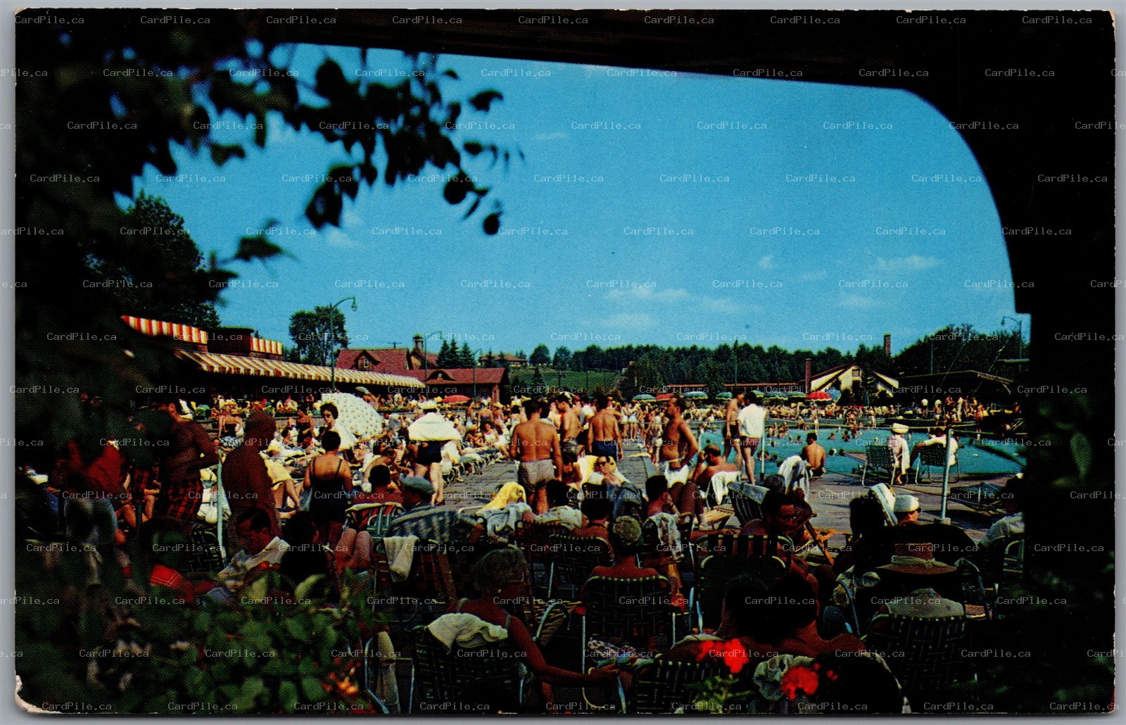 Postcard Liberty New York Grossingers Catskill Resort Hotel Outdoor Olympic Pool