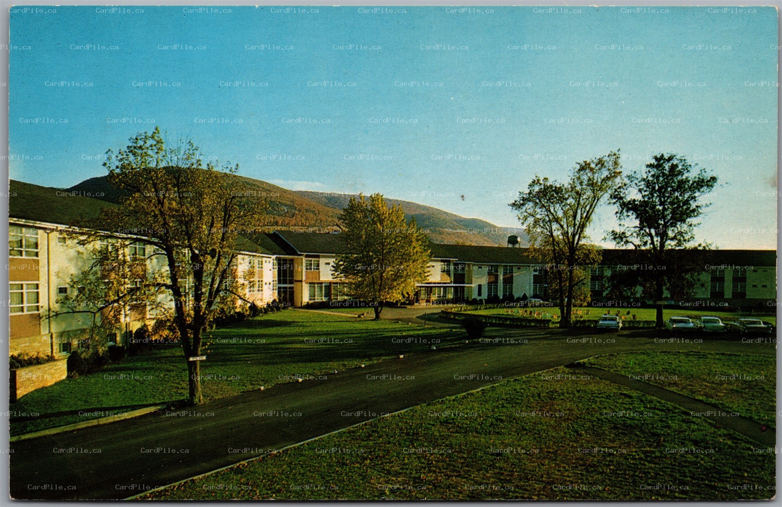 Postcard Ellenville New York c1960s The Fallsview Ulster County
