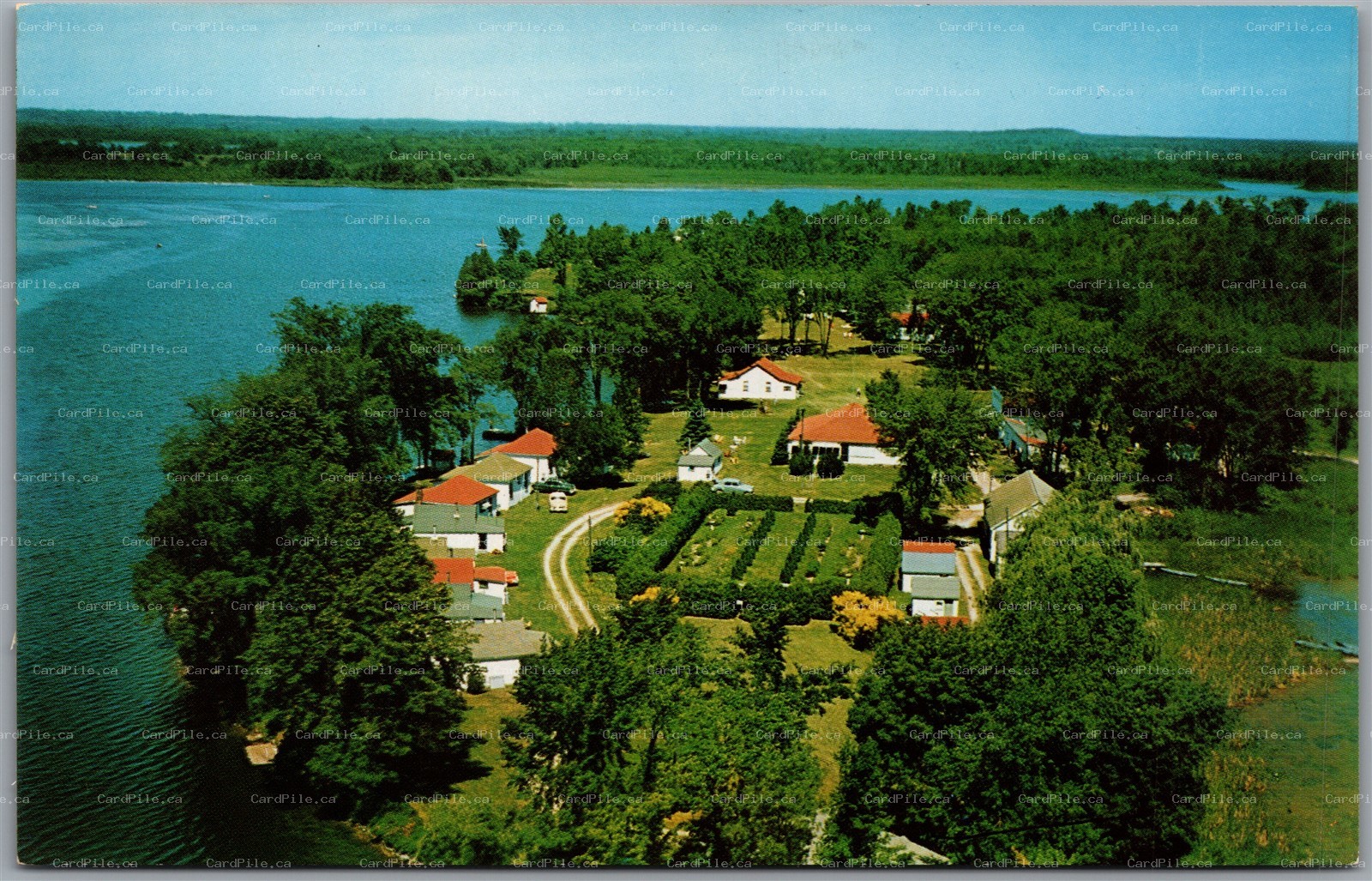 Postcard Campbellford Ontario Woodland Estate Scenic Aerial View Trent River