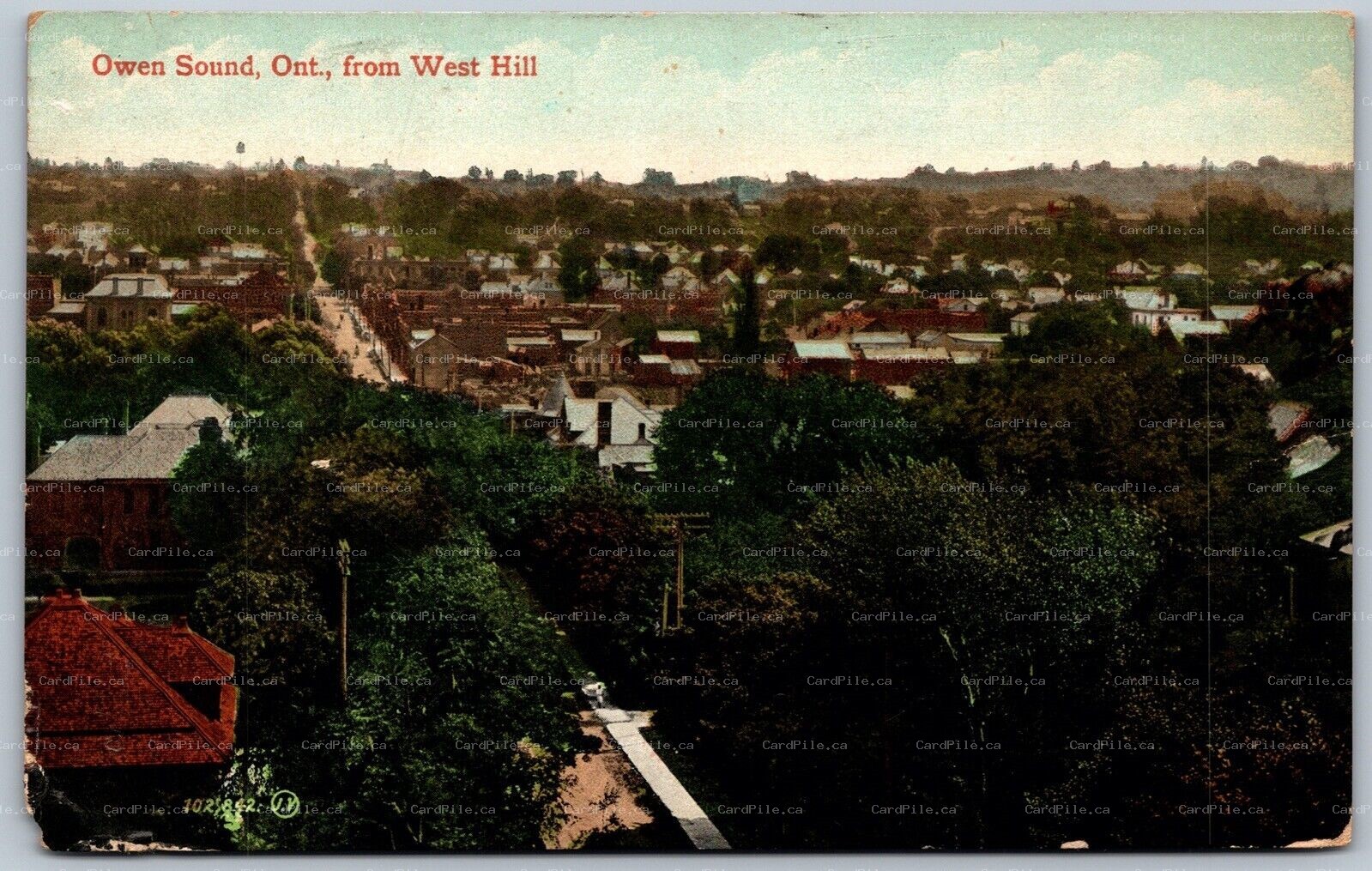 Postcard Owen Sound Ontario c1910 View From West Hill Grey County