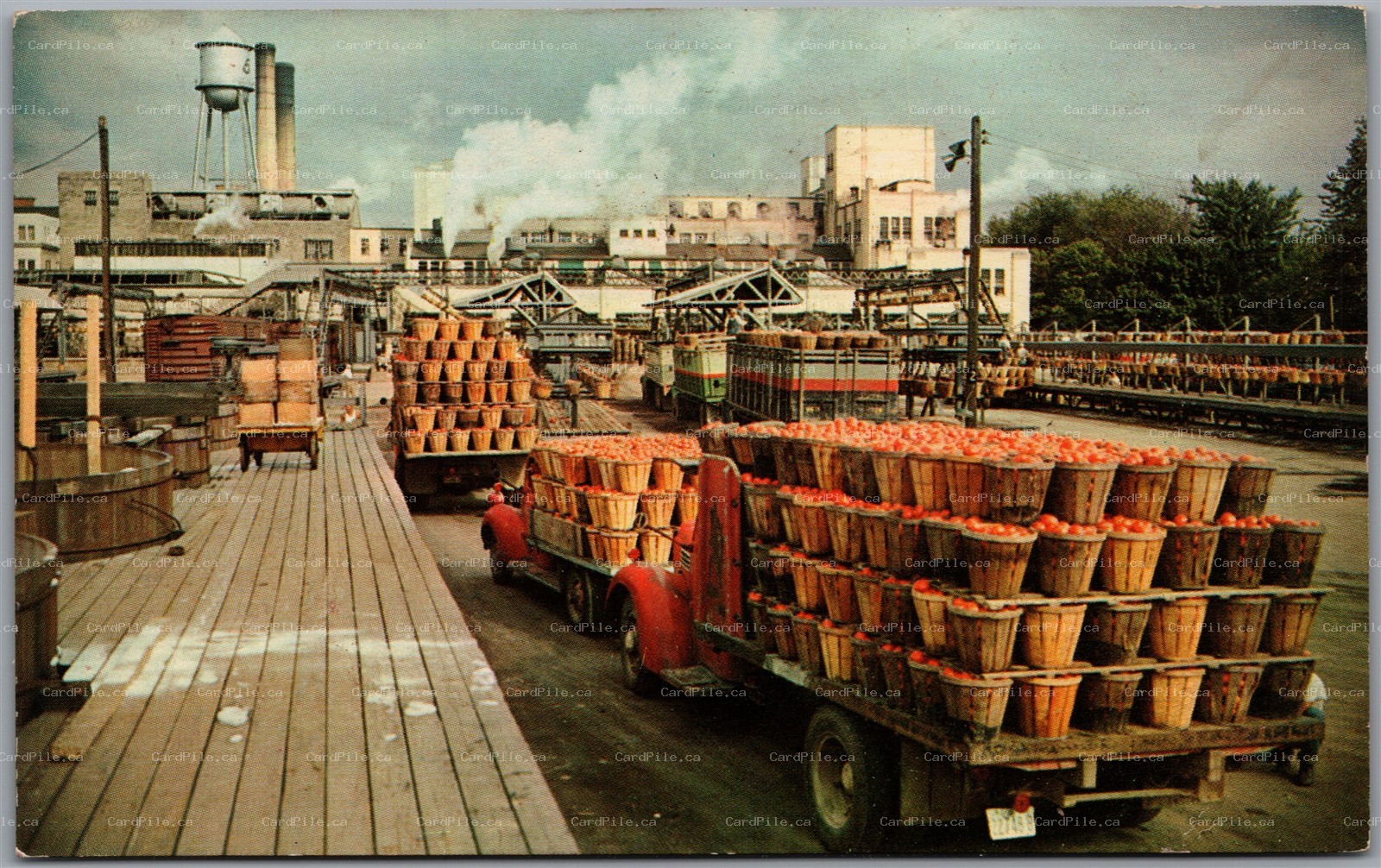 Postcard Leamington Ontario H. J. Heinz Co. of Canada LTD Tomato Ketchup