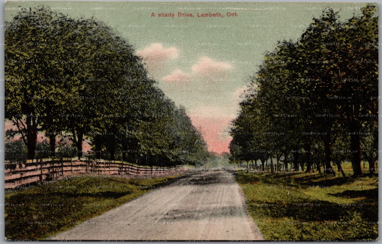 Postcard Lambeth Ontario c1910s A Shady Drive