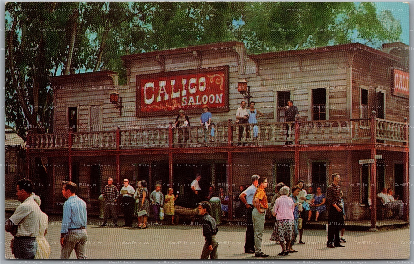 Postcard Buena Park California Knott's Berry Farm Calico Saloon Ghost Town