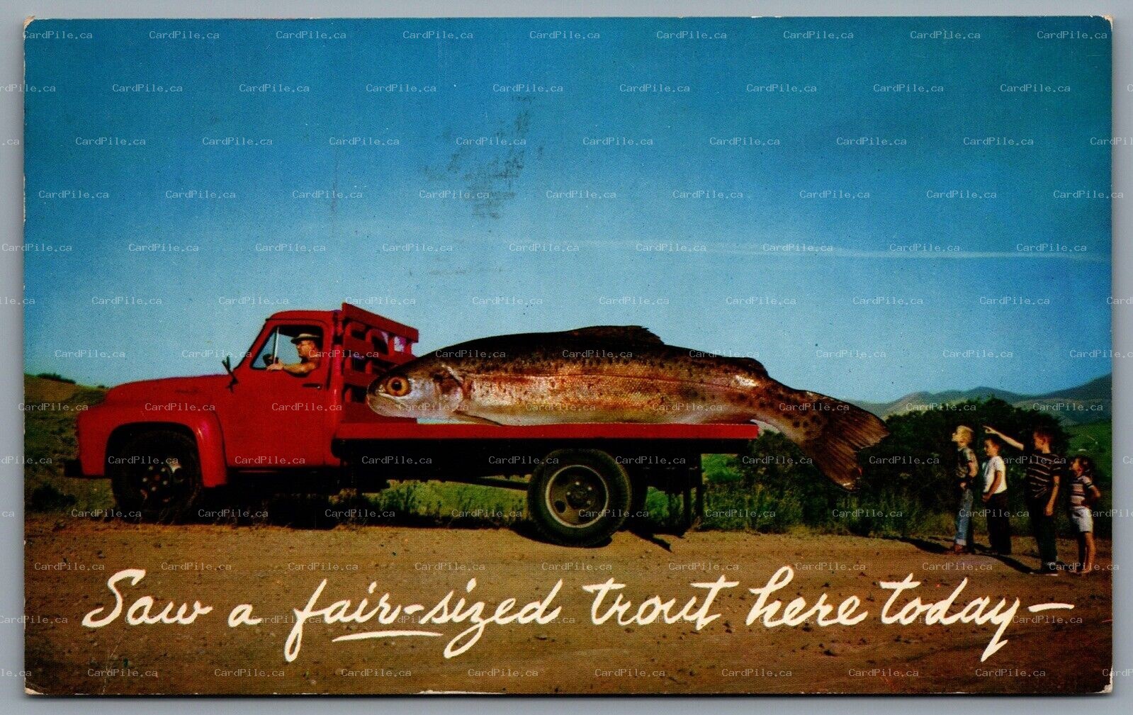 Postcard British Columbia c1964 Saw A Fair Sized Troute Here Today Exaggerated