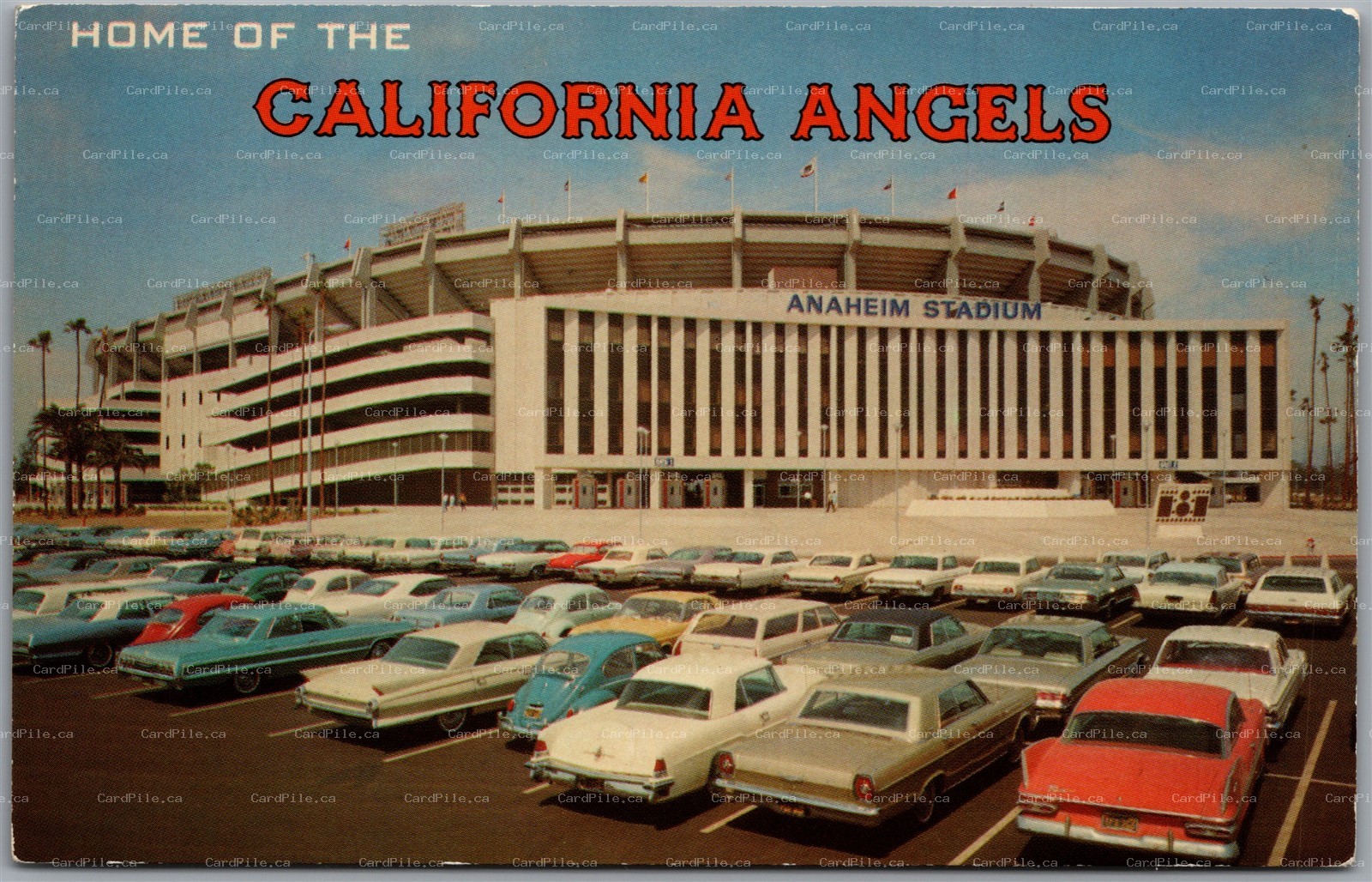 Postcard Anaheim California Angel's Stadium Baseball Parking Lot Classic Cars