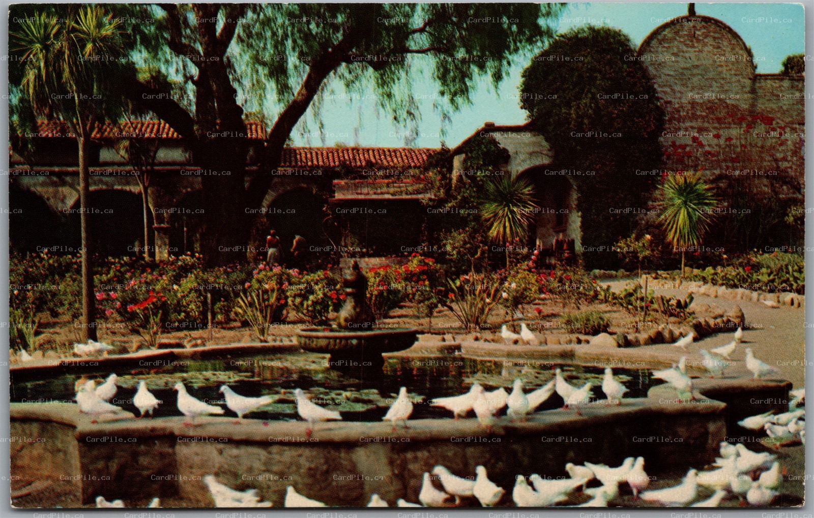 Postcard San Juan Capistrano California Mission White Pigeons