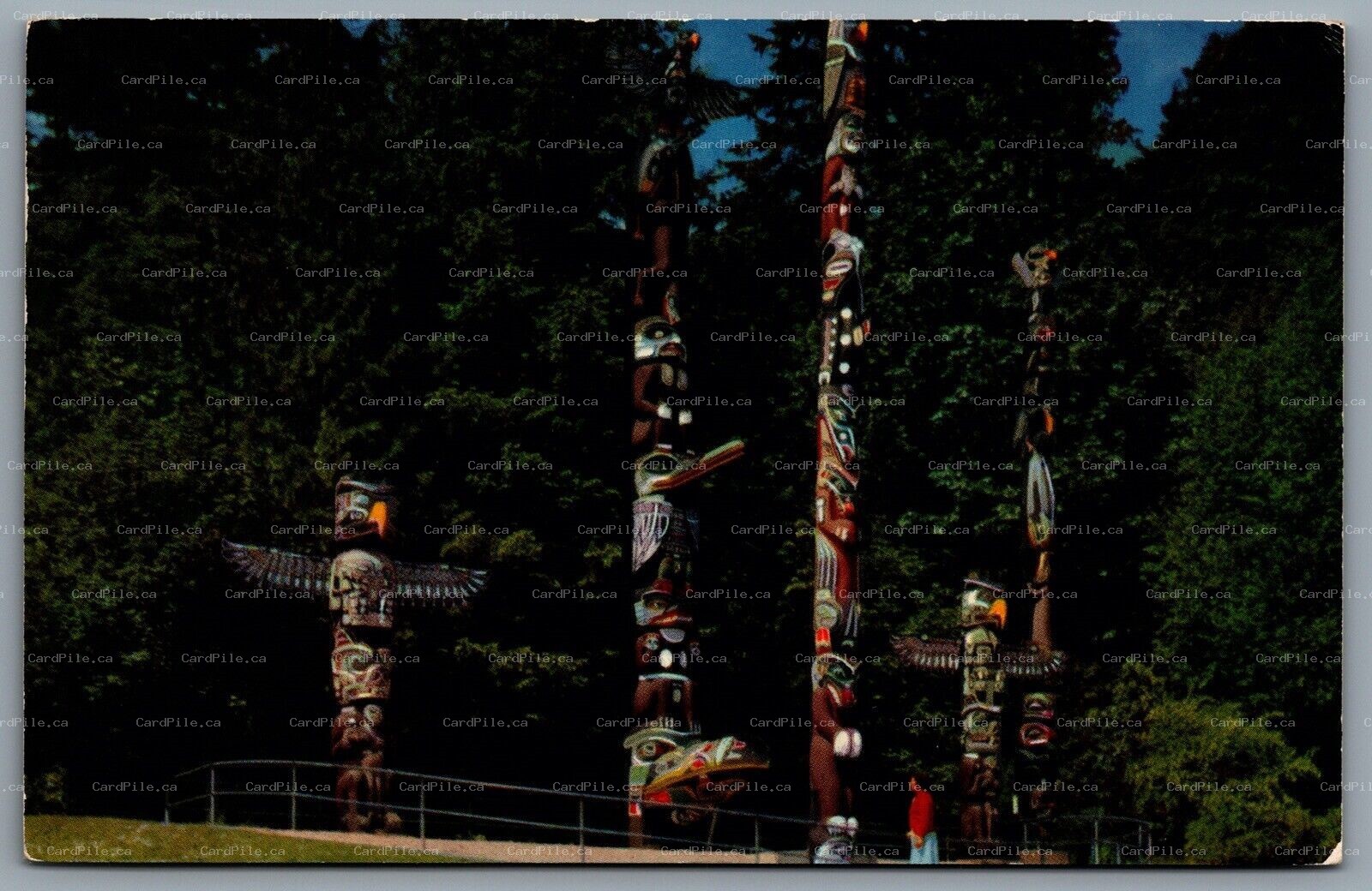 Postcard Vancouver BC c1956 Totem Poles In Stanley Park 