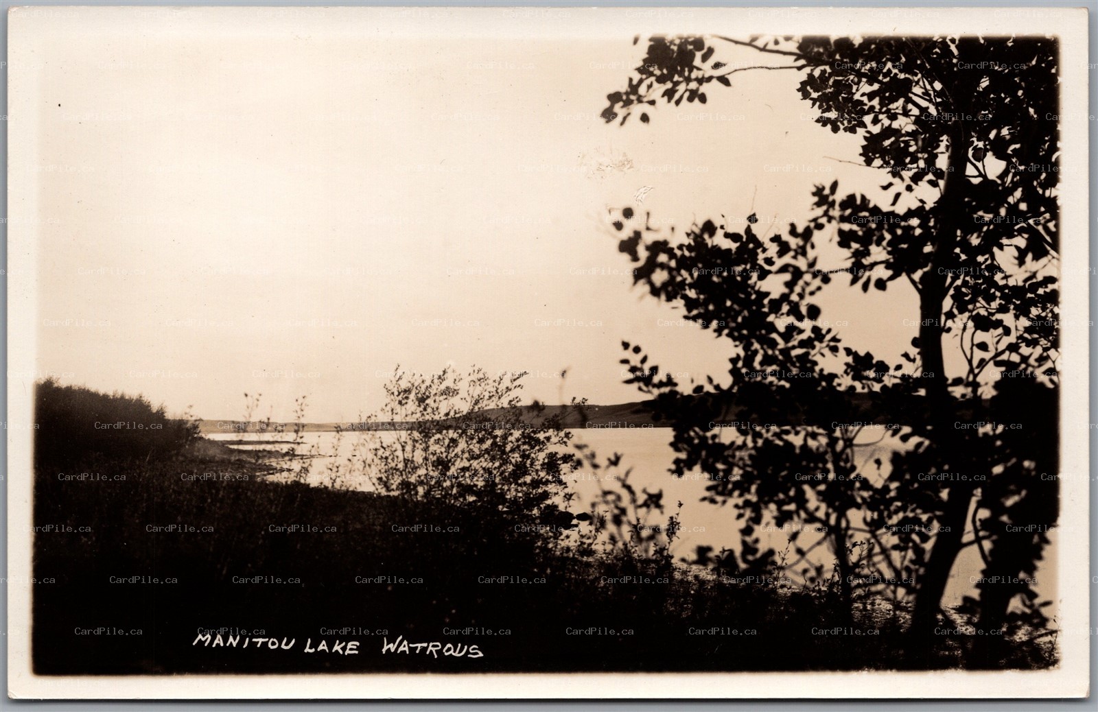 Postcard RPPC c1930s Watrous Saskatchewan Manitou Lake Scenic View B