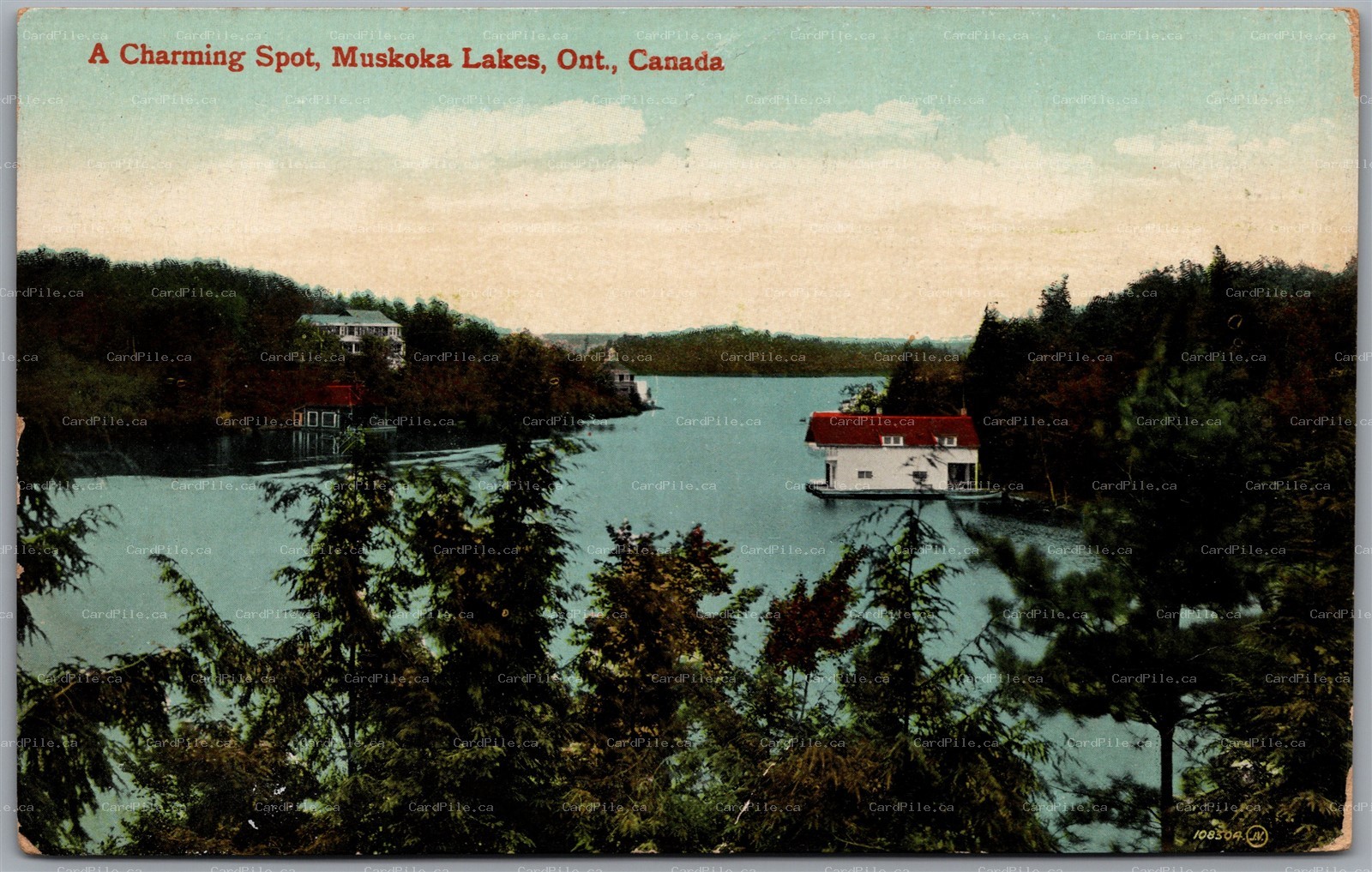 Postcard Muskoka Lakes Ontario c1910s A Charming Spot Scenic View