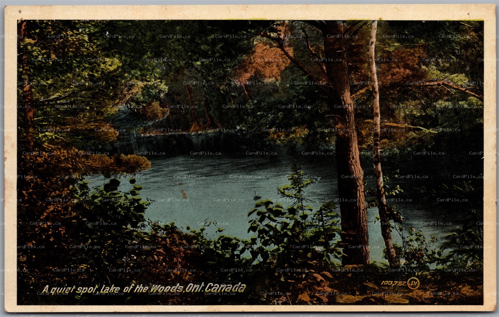 Postcard Lake of The Woods Ontario c1910s A Queit Spot Scenic View CPR