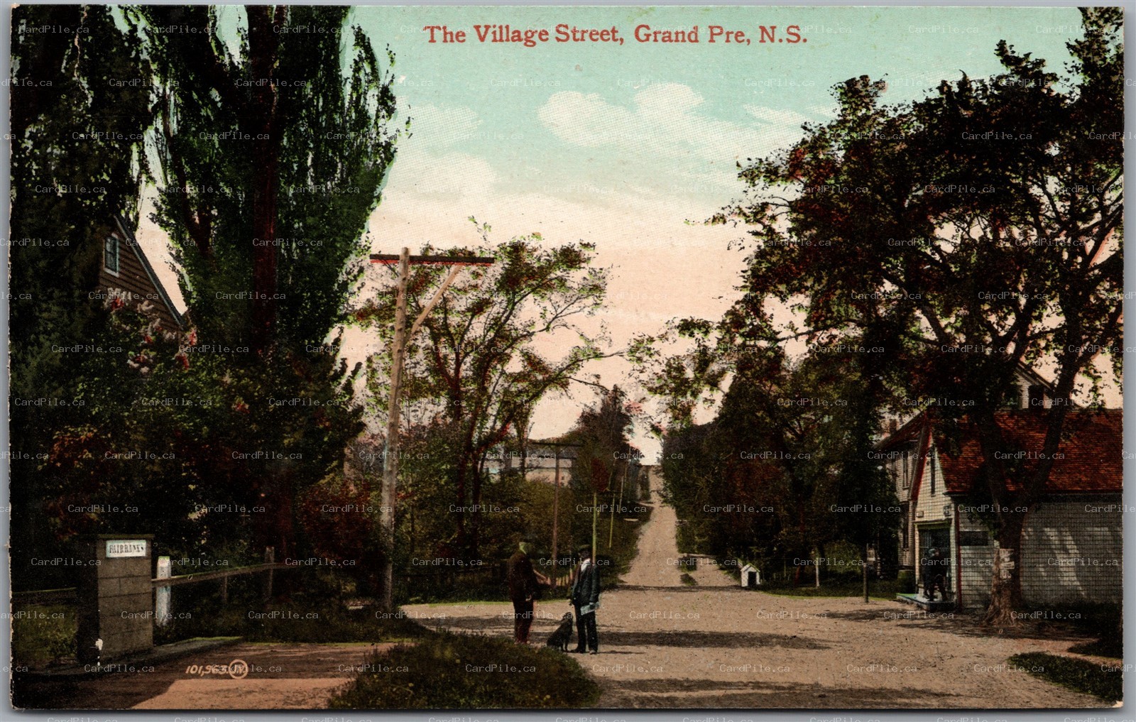 Postcard Grand Pre Nova Scotia c1910s The Village Street Kings County