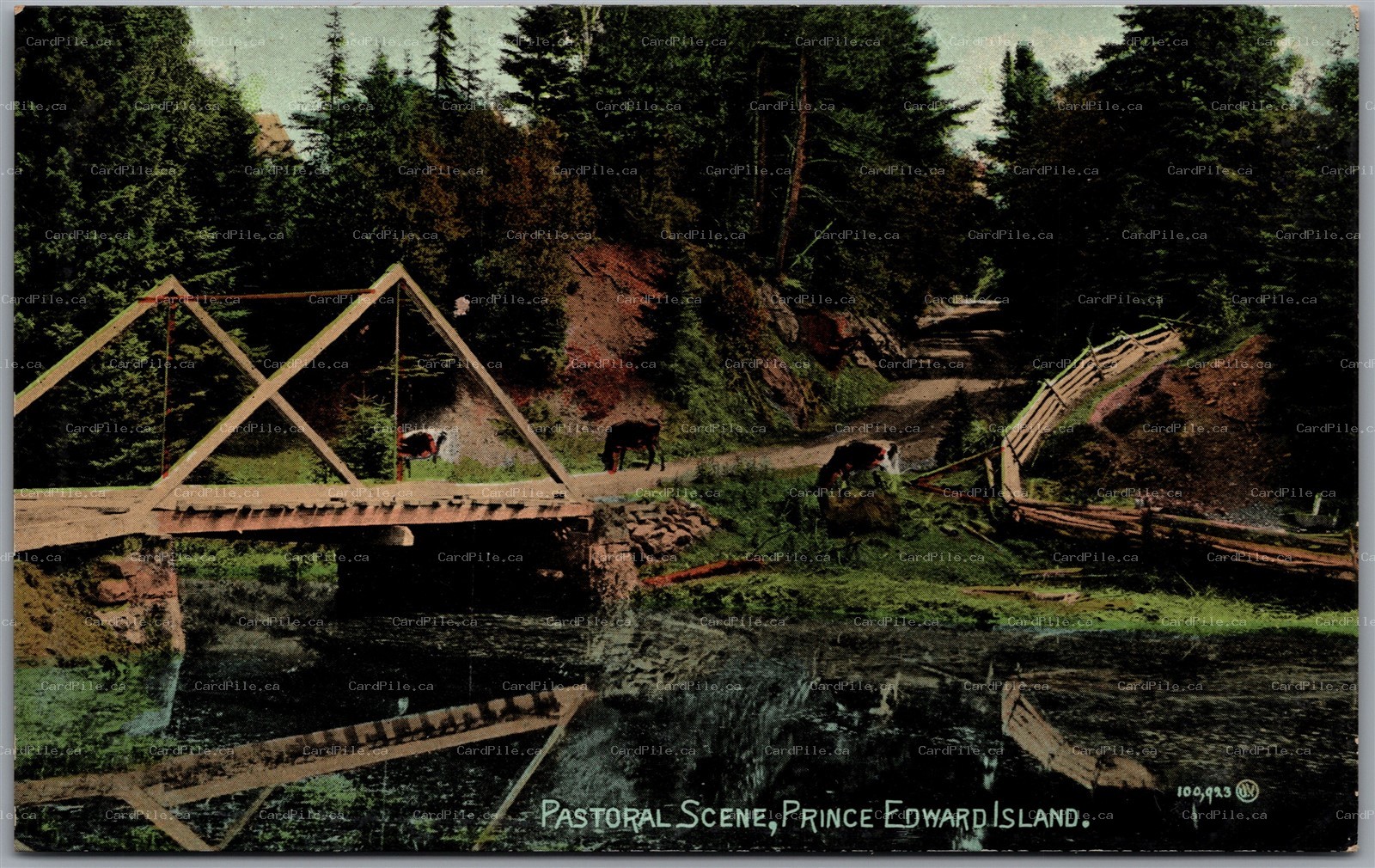 Postcard Prince Edward Island c1910s Pastoral Scene Cows Grazing Bridge River