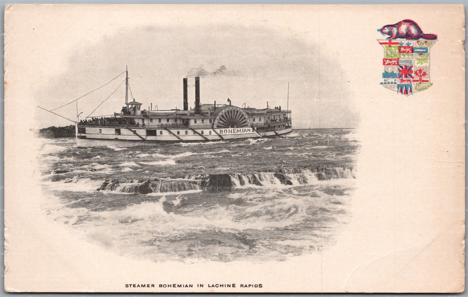 Postcard Quebec c1910s Steamer Bohemian in Lachine Rapids Heraldic Crest Beaver