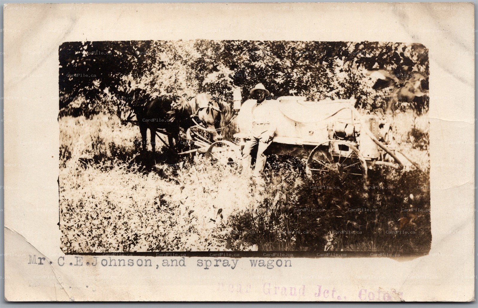Postcard RPPC Grand Junction Colorado Mr. C. E. Johnson and Spray Wagon