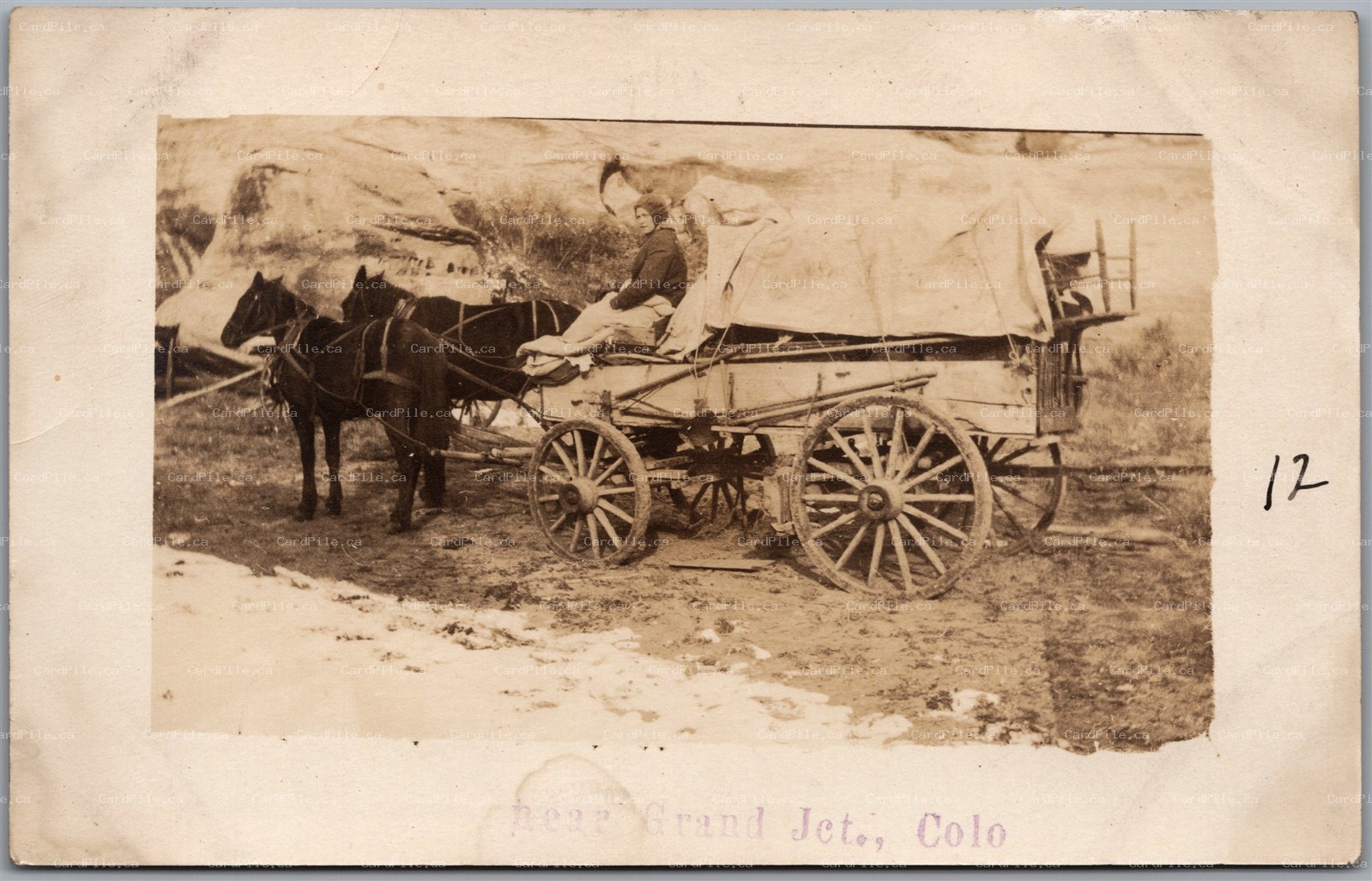 Postcard RPPC Grand Junction Colorado Person Riding Horse Wagon