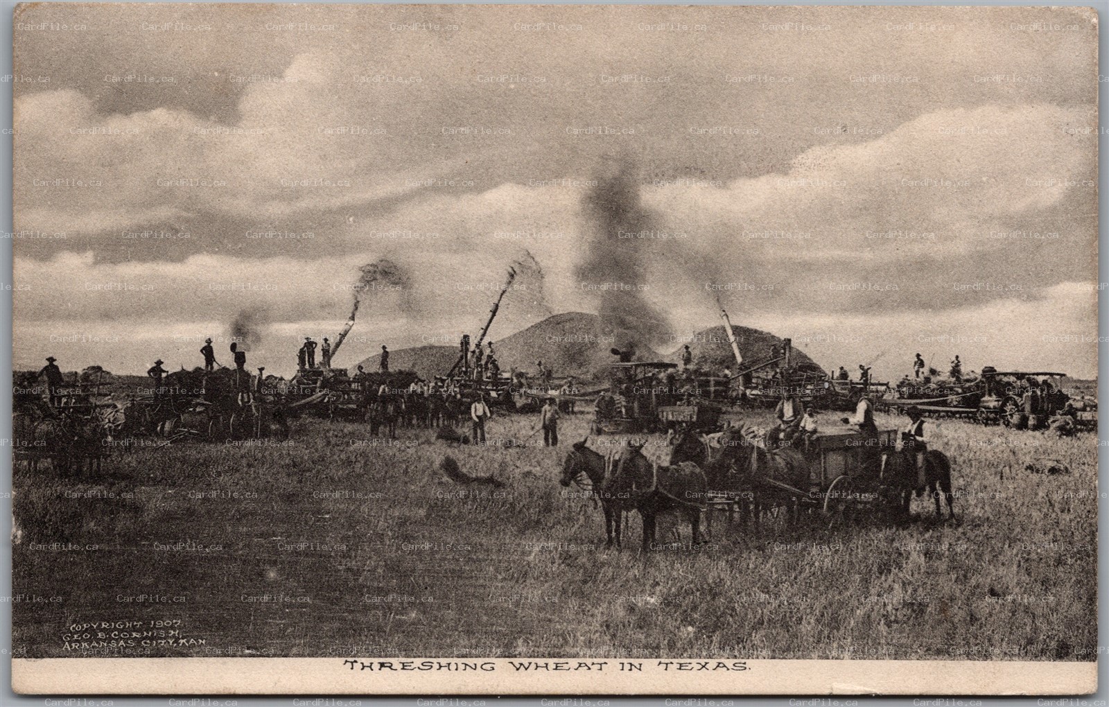 Postcard c1908 Harvesting Wheat in Texas Threshing Geo. B. Cornish Albertype