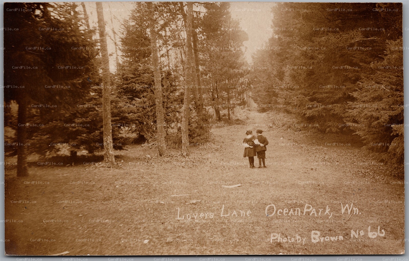 Postcard RPPC c1910s Ocean Park Washington Lovers Lane Pacific County by Brown