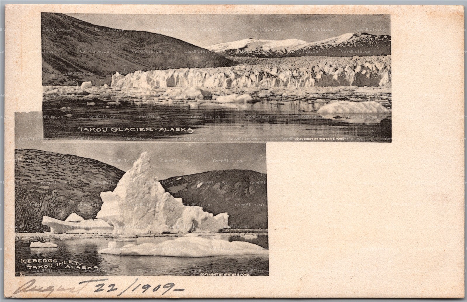 Postcard Taku Inlet Alaska 1909 Glacier Inlet & Icebergs Dual View by Albertype