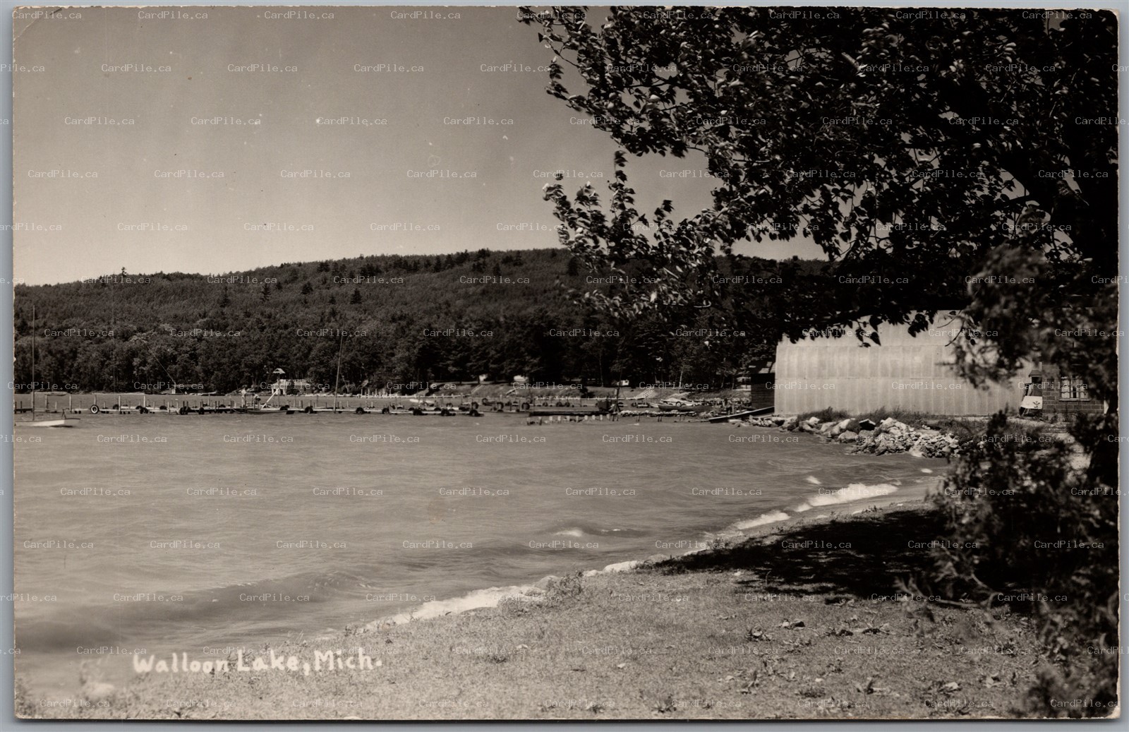 Postcard RPPC c1930s Walloon Lake Michigan Beach Shore Charlevoix County