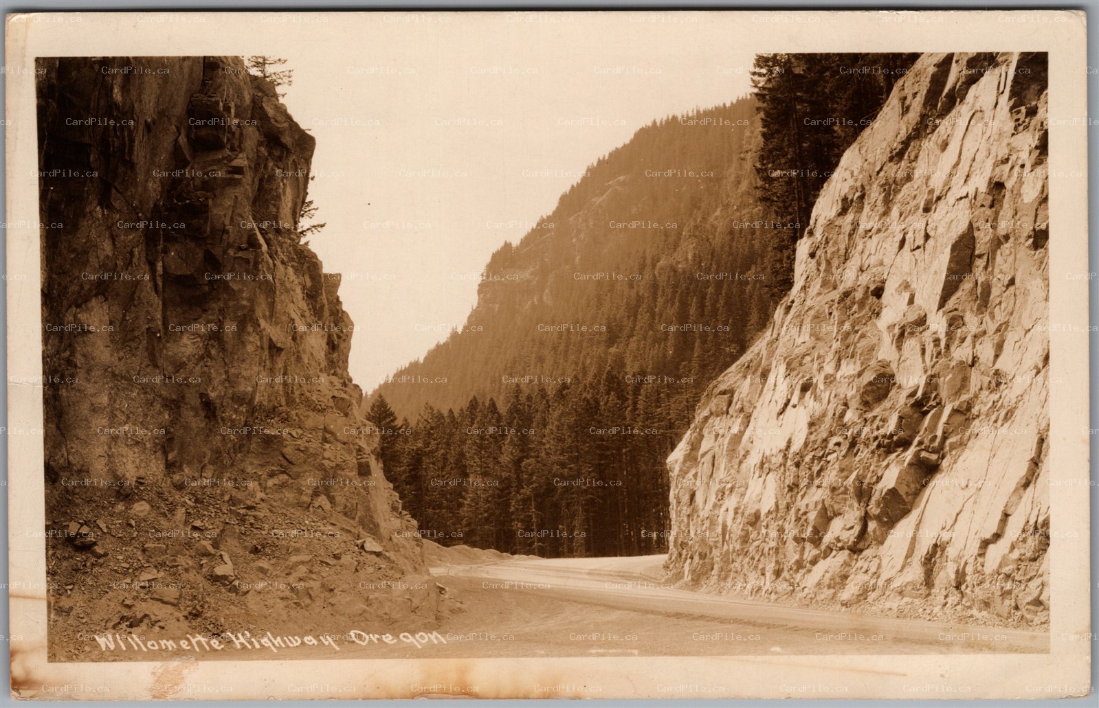 Postcard RPPC c1941 near Oakridge Oregon Willamette Highway Read Desc. for GPS