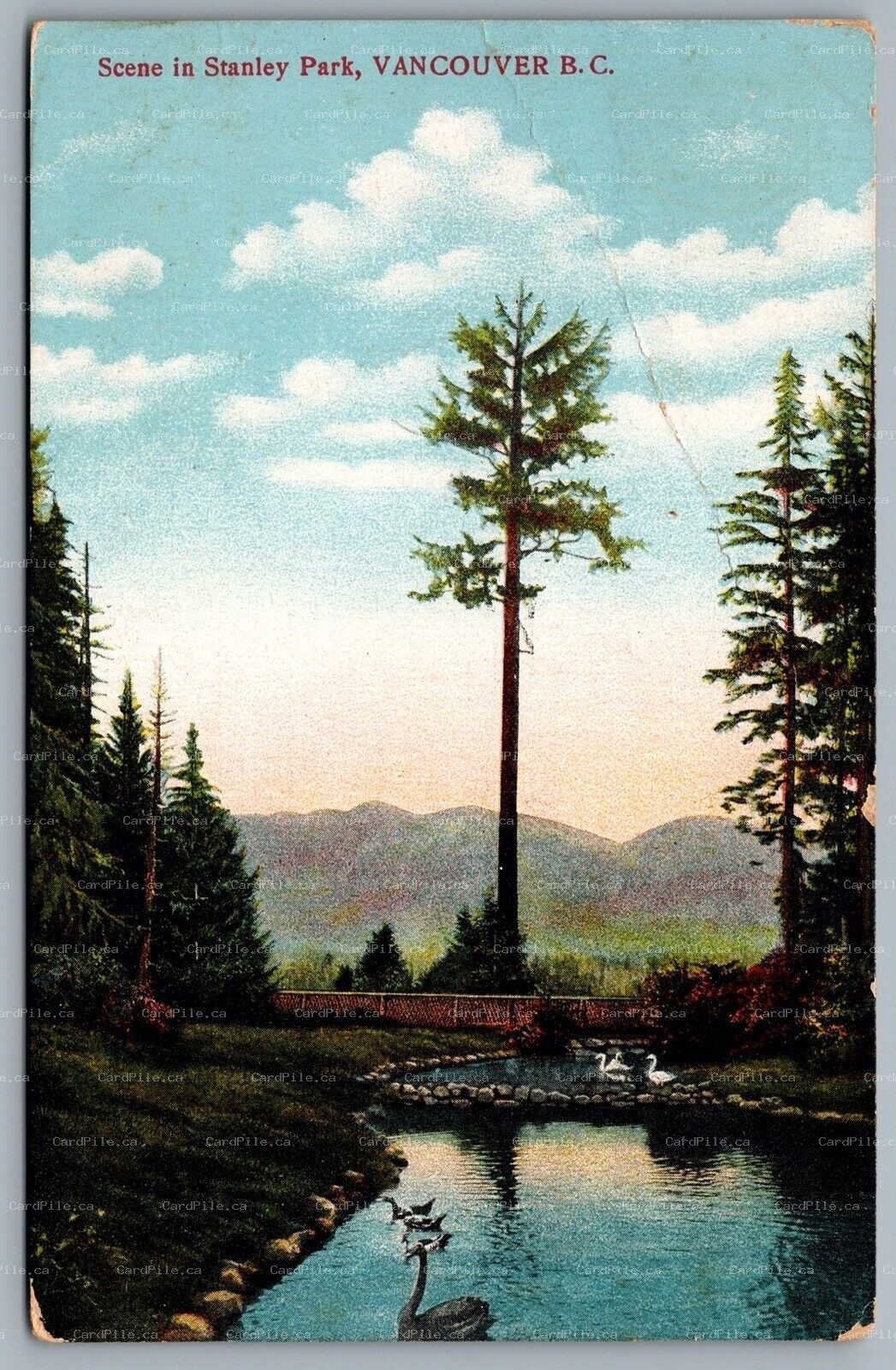 Postcard Vancouver BC c1912 Scene In Stanley Park RPO Cancel