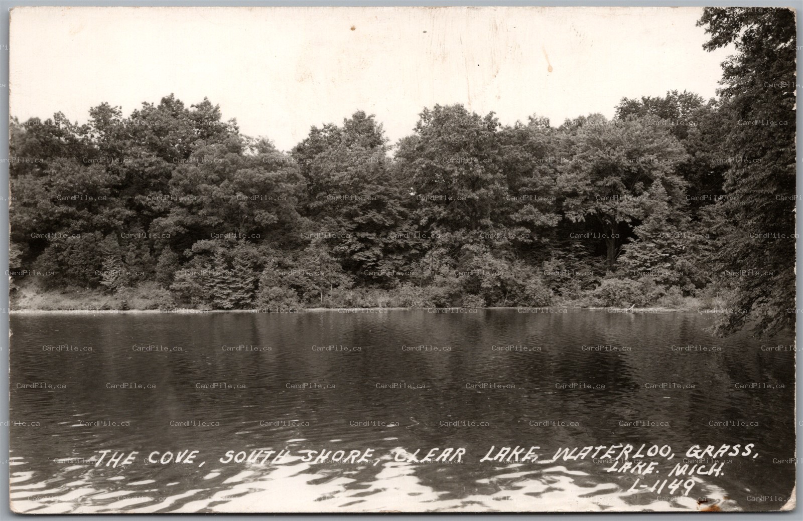 Postcard RPPC Grass Lake Michigan The Cove South Shore Clear Lake Waterloo