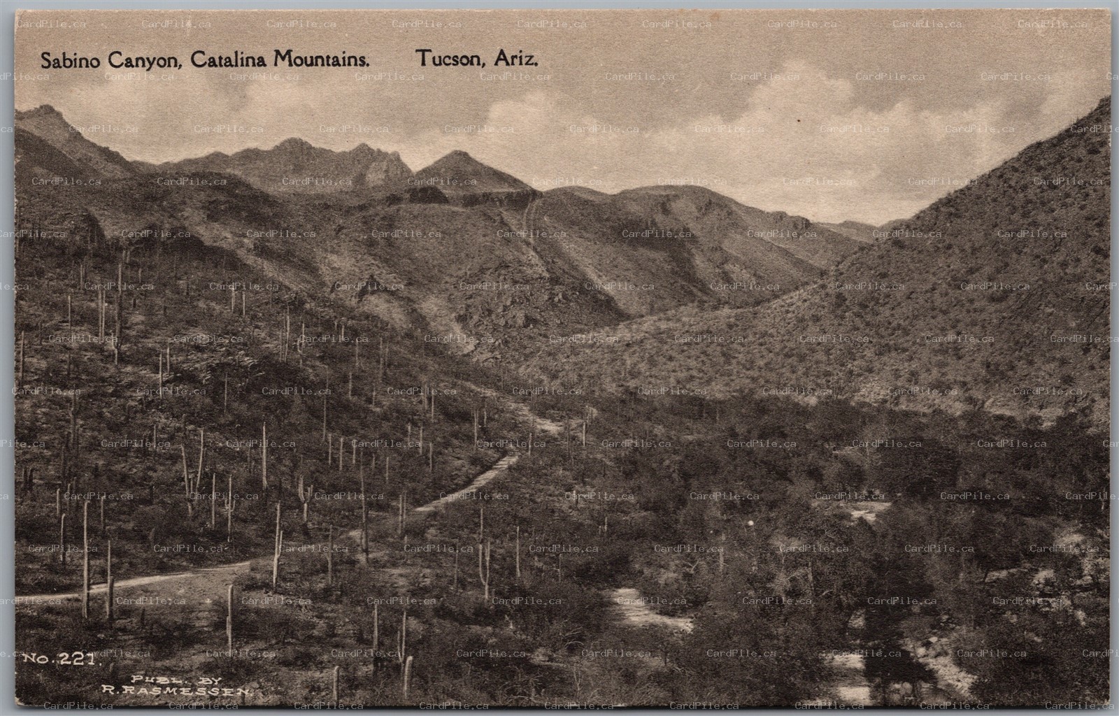 Postcard Tuscon Arizona c1910s Sabino Canyon Catalina Mountains by Albertype