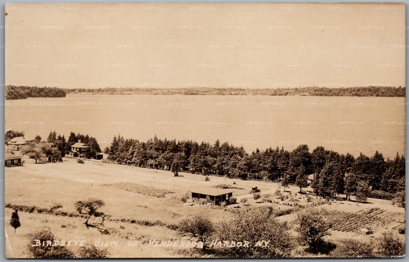 Postcard RPPC c1923 Henderson Harbor New York Birds Eye View Bay Farm