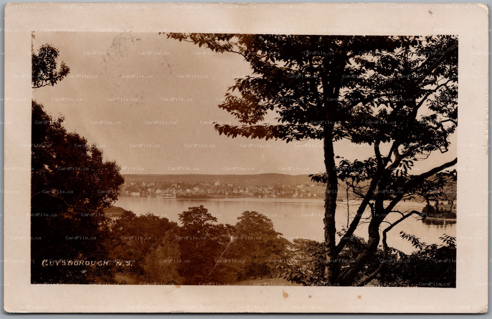 Postcard RPPC c1945 Guysborough Nova Scotia Scenic View of Town by Buckley's