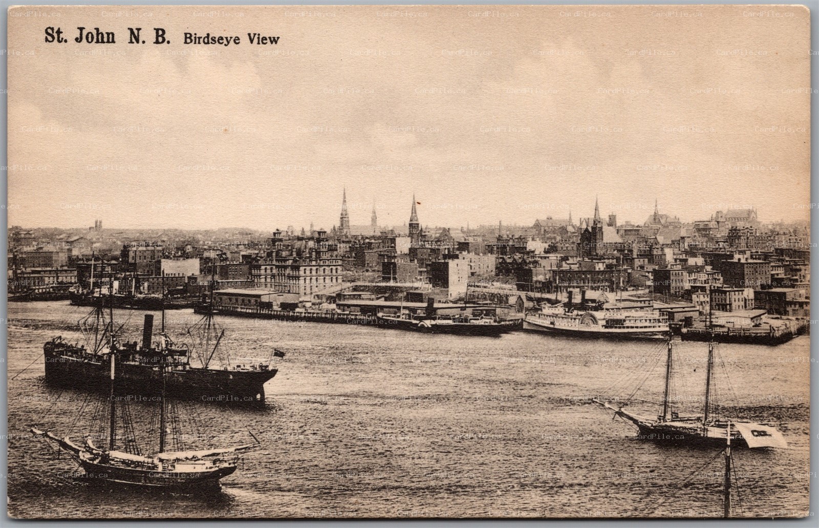 Postcard St. John New Brunswick c1910s Birds Eye View Harbor Town Schooners