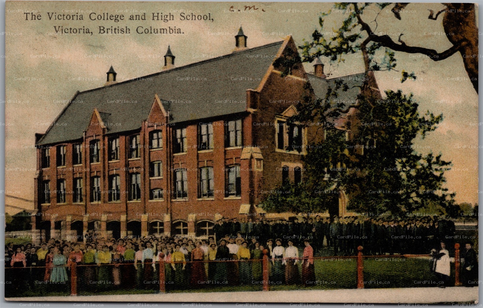 Postcard Victoria British Columbia c1907 College and High School by T. N. Hibben