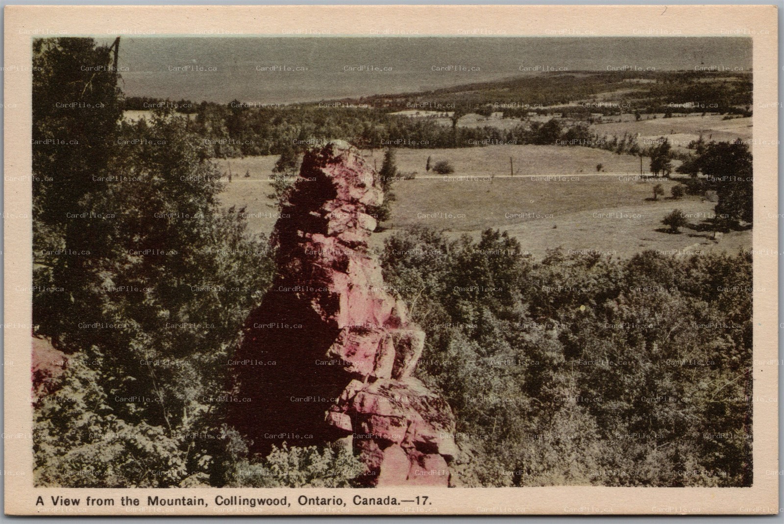 Postcard Collingwood Ontario A Scenic View from the Mountain Simcoe County PECO
