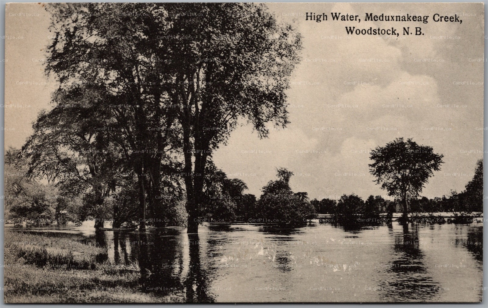Postcard Woodstock New Brunswick High Water Meduxnekeag Creek Carleton County