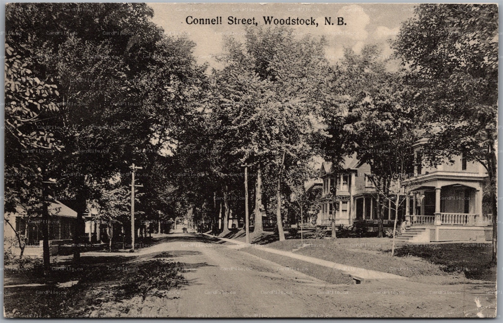 Postcard Woodstock New Brunswick Connell Street Carleton County
