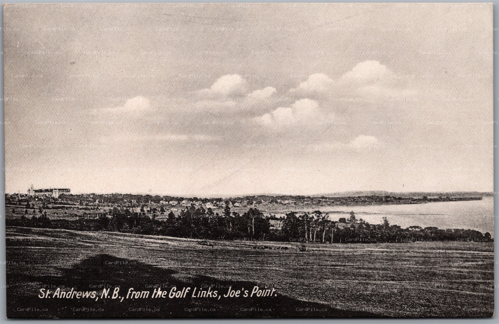Postcard St. Andrews New Brunswick Joe's Point from the Golf Links Charlotte Co.