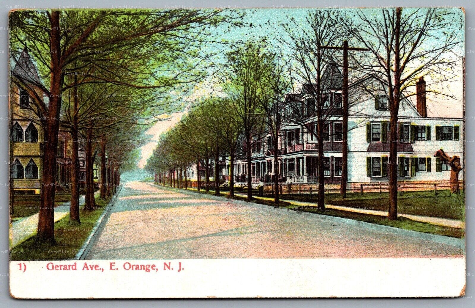 Postcard Orange NJ c1905 Gerard Ave East Street View Undivided Back